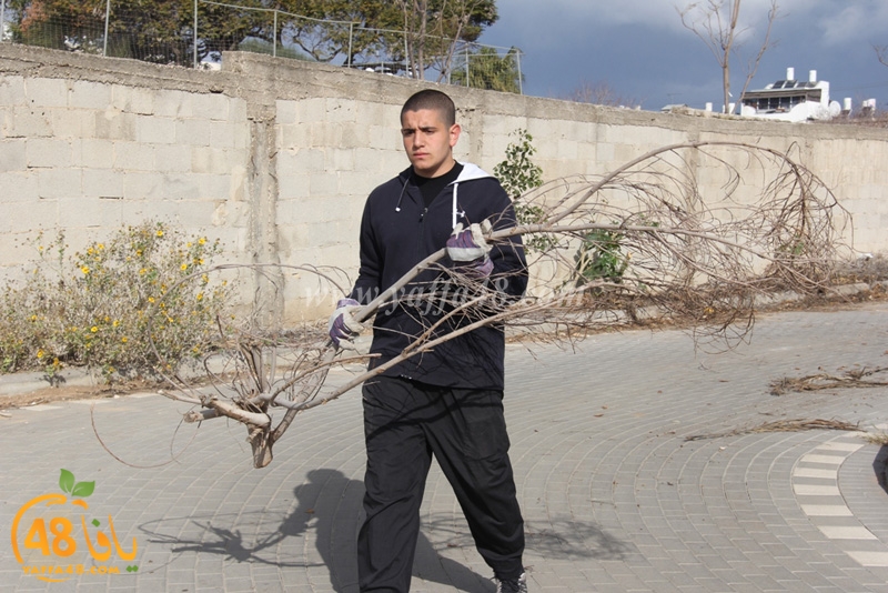 taso mashro3 tandaef (5).JPG